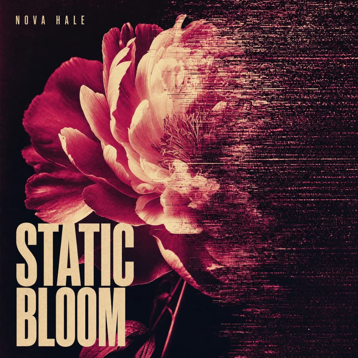Static Bloom square release cover by Nova Hale